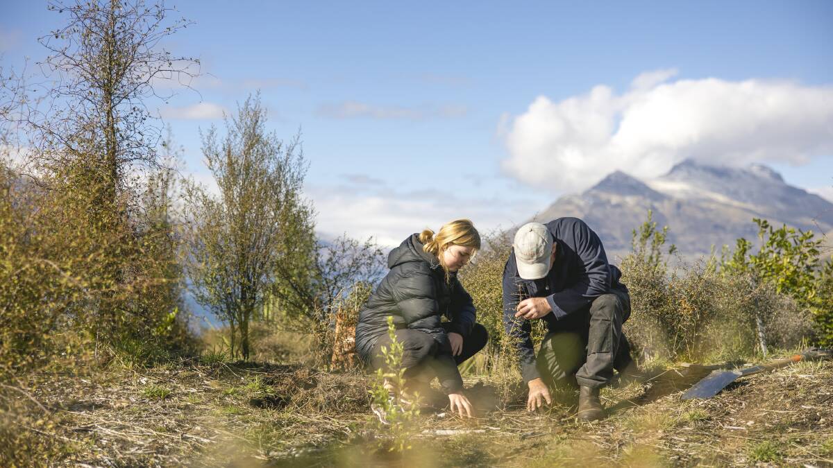 As well as reducing carbon output, Queenstown is improving biodiversity and increasing reforestation. Picture: Destination Queenstown