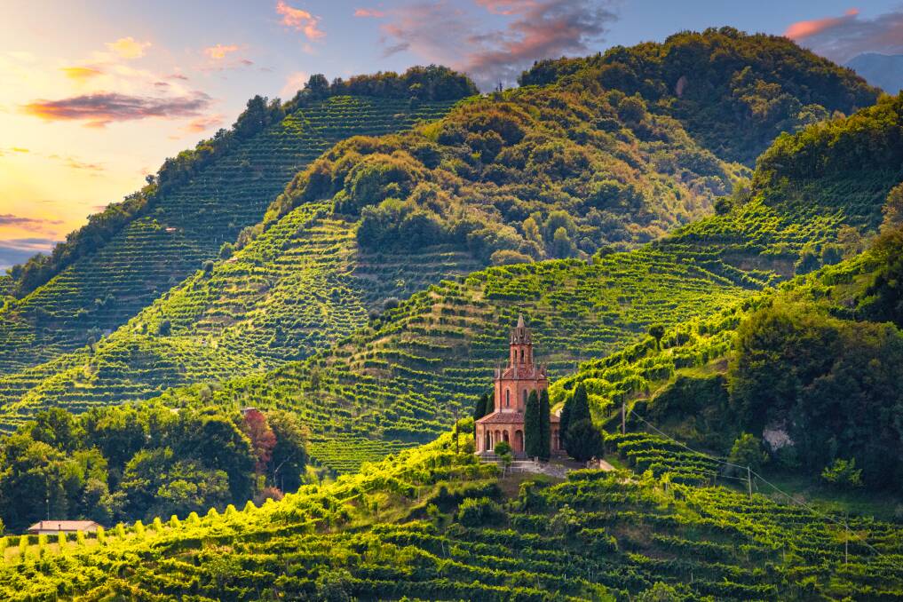 The hills of Prosecco. Pictures: Getty Images