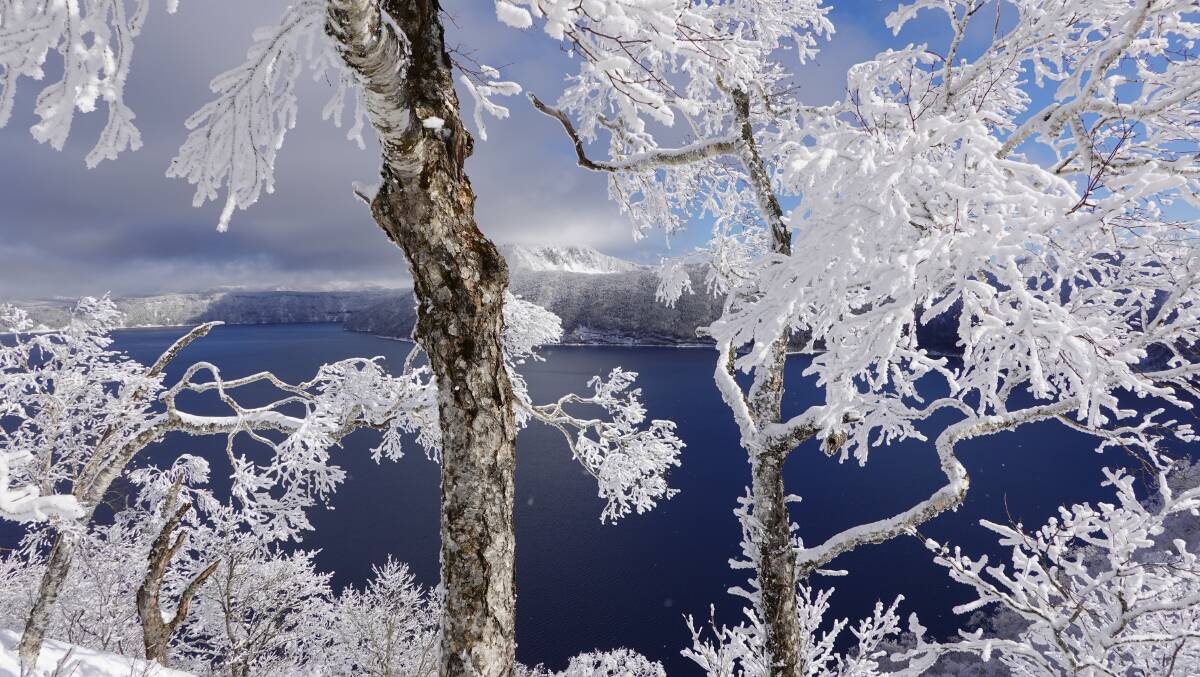 Trees caked in hoar frost at Lake Mashu. Picture: Laura Waters