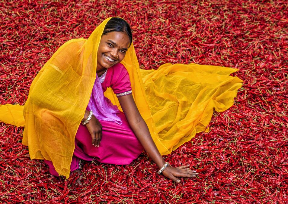 Chilies are the spice of life in countries including India. Picture: Getty Images