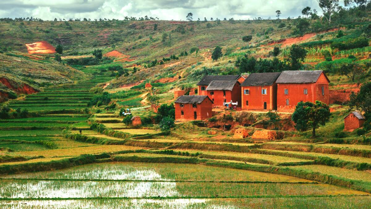 Rice fields of Madagascar. Picture: Getty Images