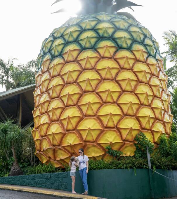 The Big Pineapple. Picture: Tourism and Events Queensland