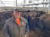 Doug Leslie, The Ranges, Bendemeer, sold four- and five-year-old Te Mania-blood cows with calves for $1840 a head while his PTIC heifers made $1520 at Tamworth sale sale last Friday. Picture by Simon Chamberlain.