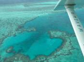 The Great Barrier Reef from the sky. Picture by Georgia Rossiter