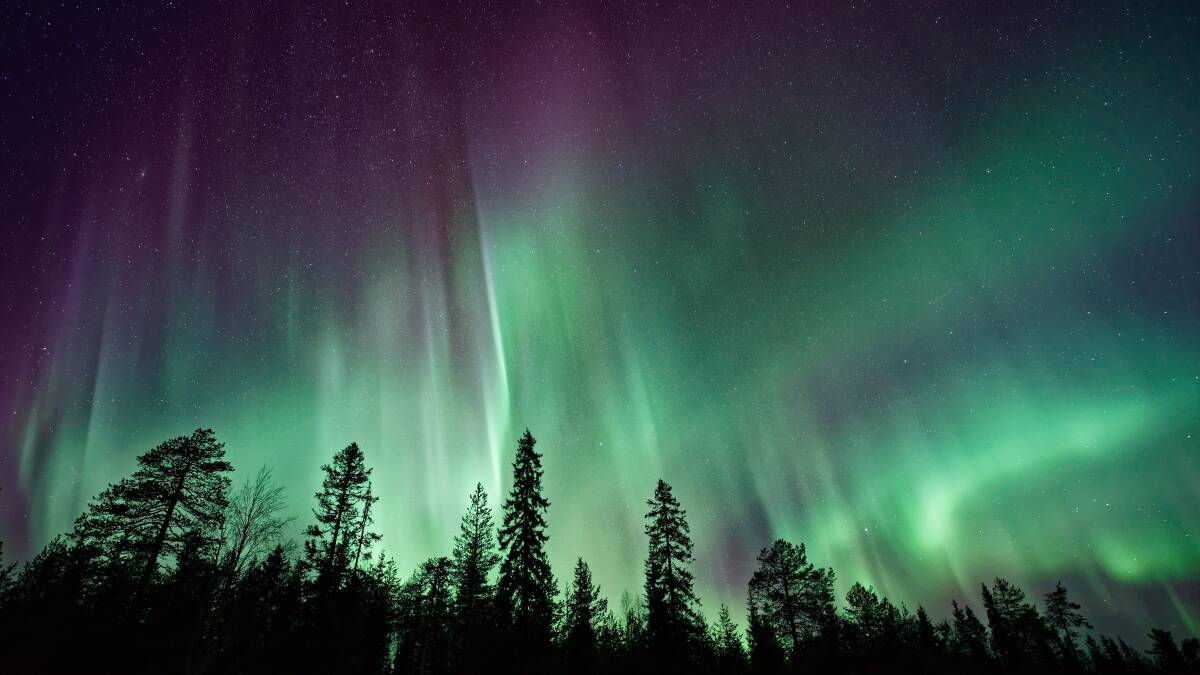 The Northern Lights spectacle.