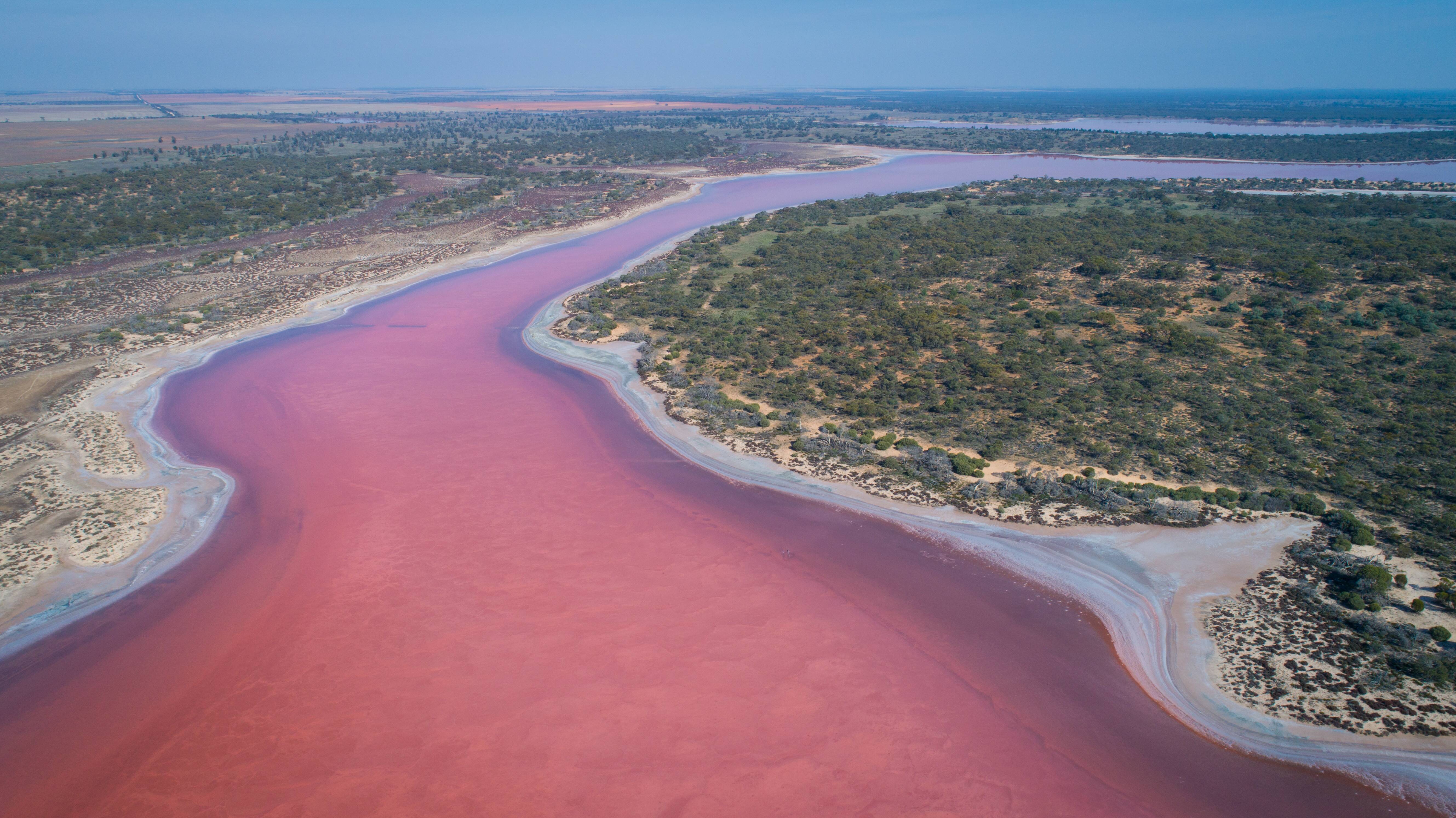 Pink lakes in Australia and New Zealand: Nine spectacular lakes to visit