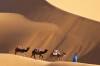 Which desert adventure is for you - Atacama or the Sahara?