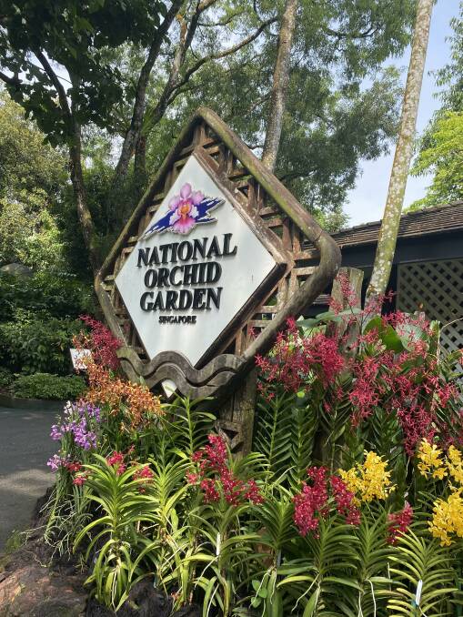 National Orchid Garden. Picture: Kate Cox