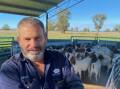 Goat producer Craig Stewart, Buena Vista, Collie, manages 2500 head of Boer goats. Picture supplied.