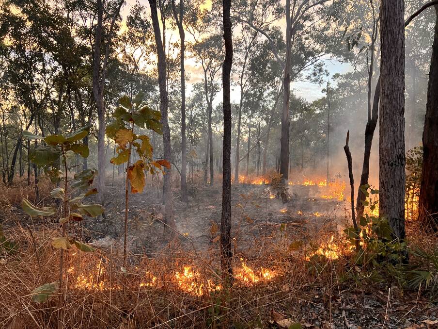 This Indigenous patchwork burn will regenerate the bush and reduce the risk of dry season fire. 