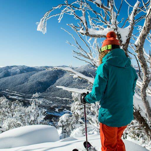 Do yourself a favour and book a Discovery Tour at Thredbo.