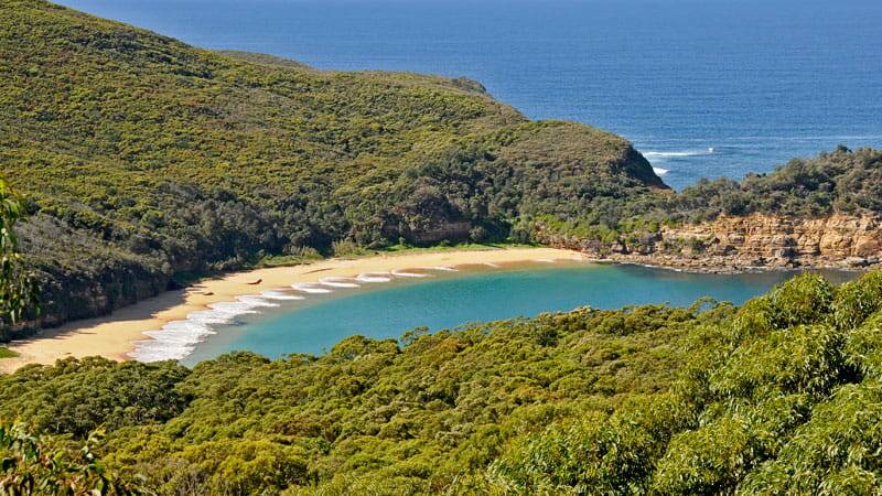 Bouddi National Park. Picture NSW National Parks and Wildlife Service