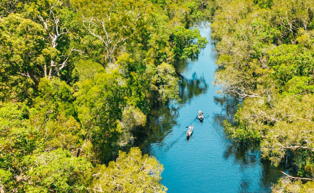 Kayaking the Noosa Everglades. Picture Visit Sunshine Coast.